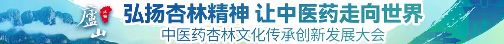 黑鸡吧操浪逼中医药杏林文化传承创新发展大会